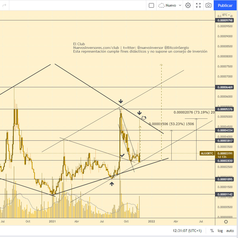 algo criptomoneda