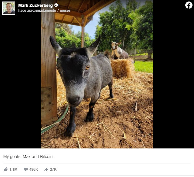 bitcoin-goat